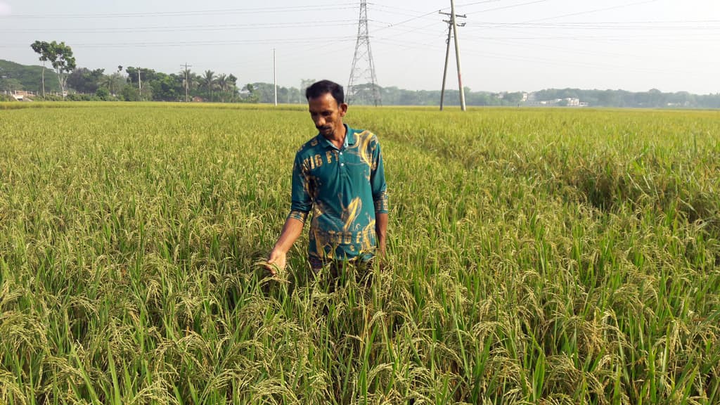 ডিজেলের দাম বাড়ায় দুশ্চিন্তায় কৃষকেরা