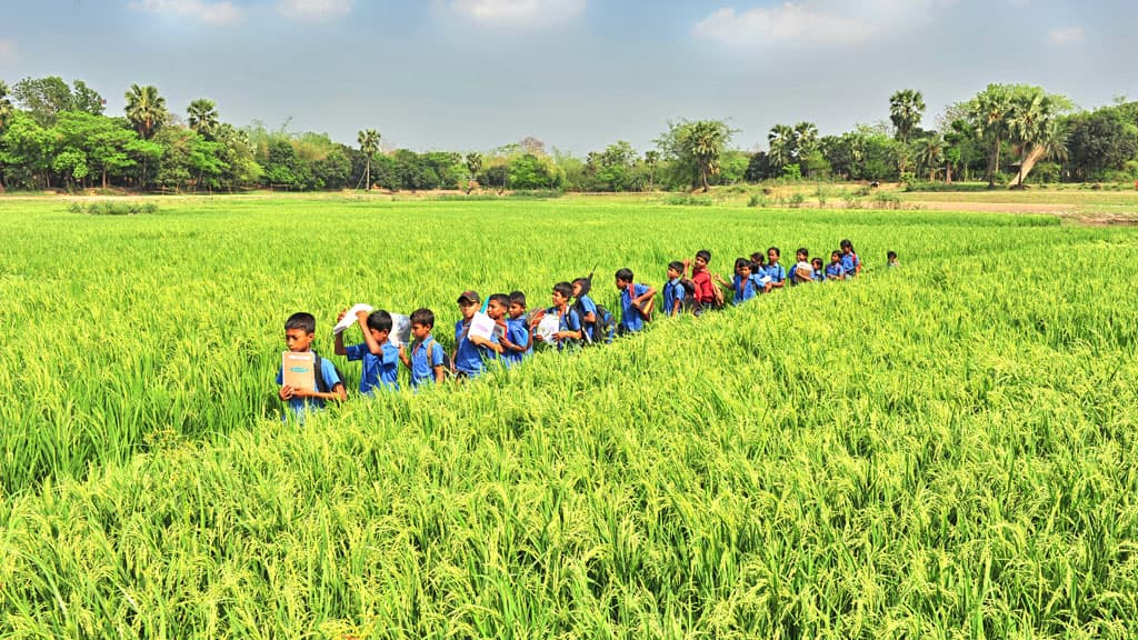 ১৫ মার্চ থেকে প্রাক-প্রাথমিকের ক্লাস শুরু