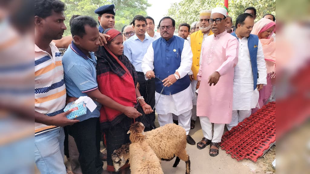 ভেড়া পালন আমিষের চাহিদা পূরণে ভূমিকা রাখবে: খাদ্যমন্ত্রী