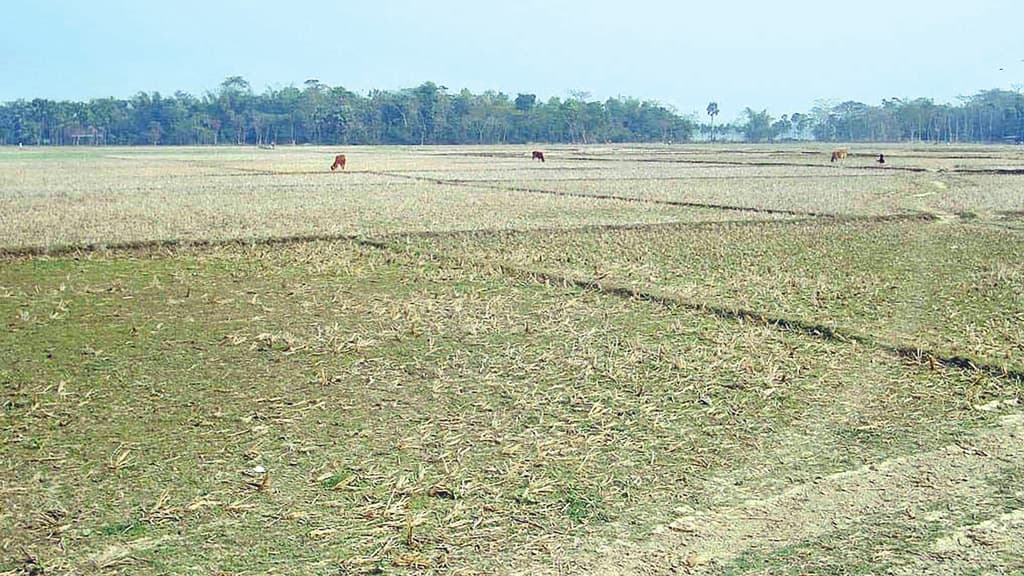 ১৩ হাজার হেক্টর জমি  অনাবাদি