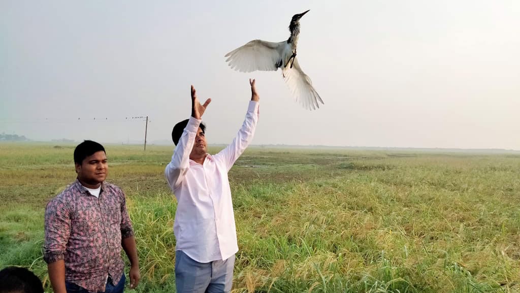 শিকারির ফাঁদ থেকে উদ্ধার ৫০০ পাখি