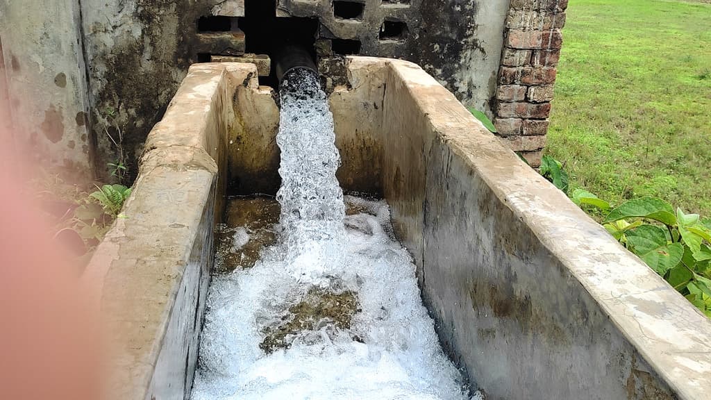 বৃষ্টি নেই, সেচের পানিতে আমন চাষে বাড়তি খরচ