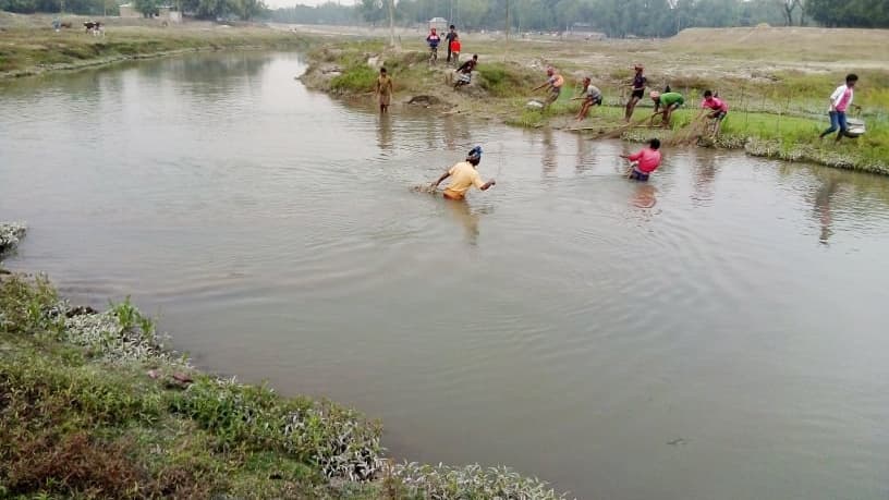 মরা নদী-খালে নতুন প্রাণ