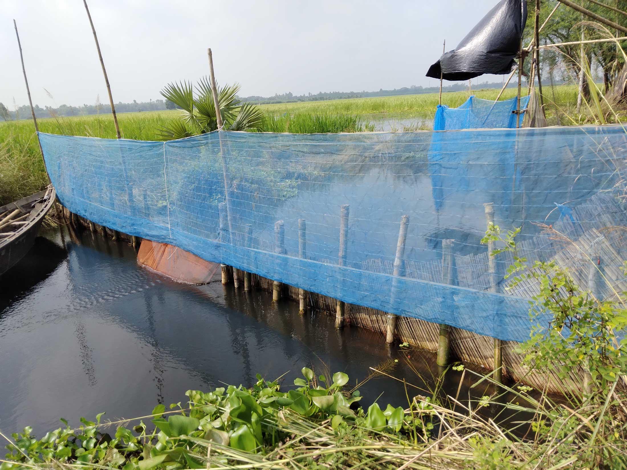 জলাশয়ে বাঁশের বেড়া  পানিপ্রবাহ বাধাগ্রস্ত