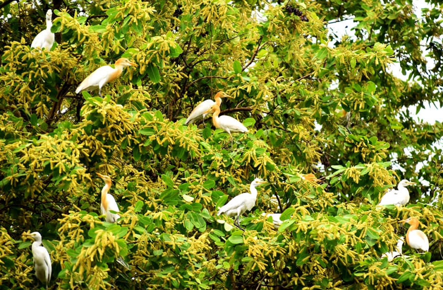 দিনের ছবি (১০ মে, ২০২৪)