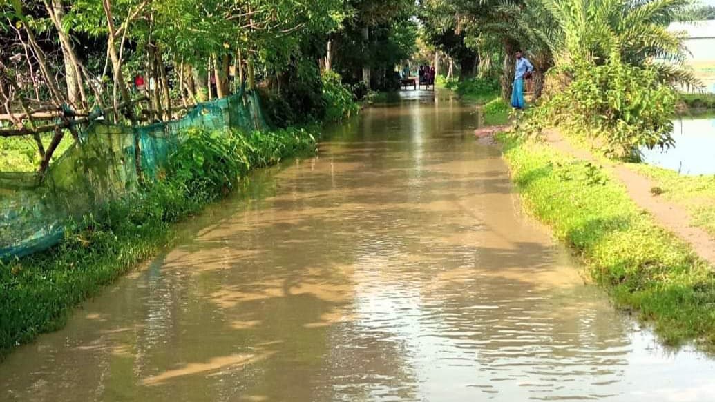 ফিশারি পাড়ের সড়ক খাল