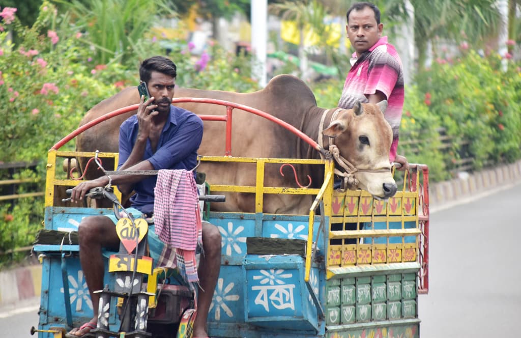 দিনের ছবি (২৮ জুন, ২০২৩)