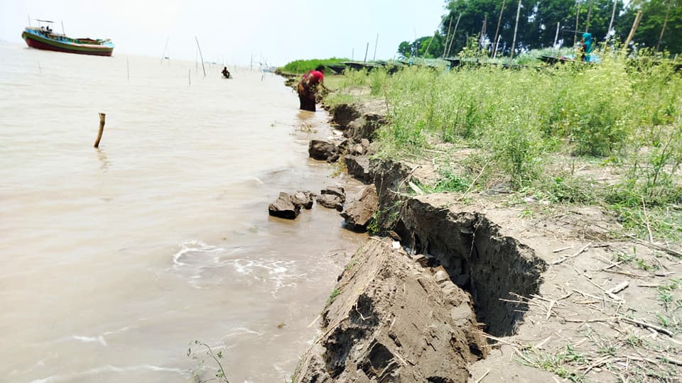 বর্ষা শুরুর আগেই শিবালয়ে পদ্মার ভাঙন আতঙ্ক