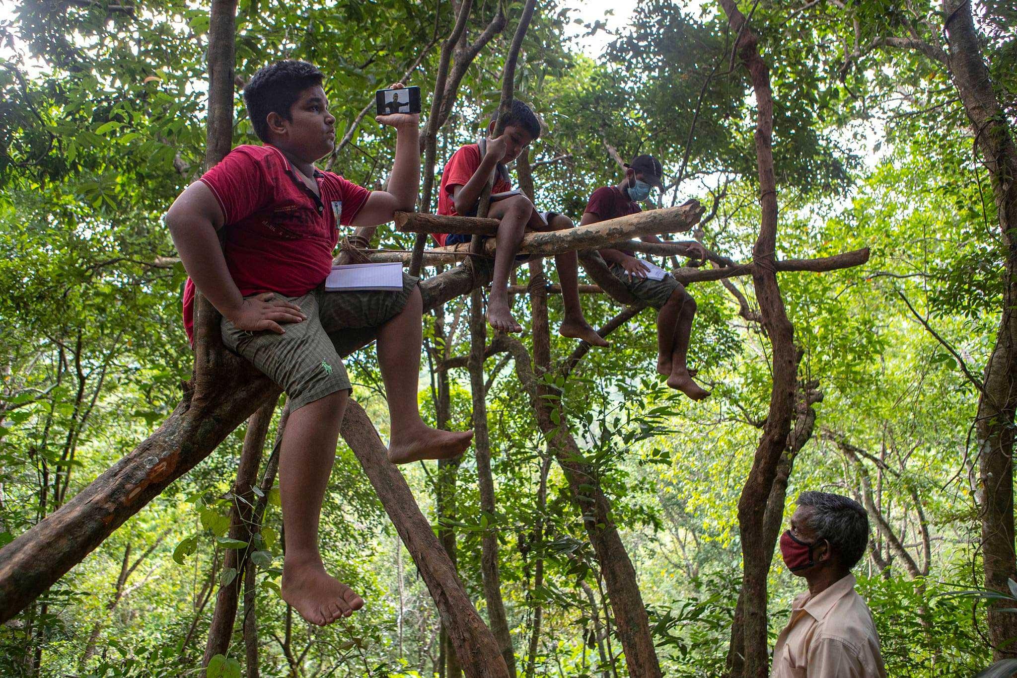 পাহাড়ি পথে ৩ কিমি হেঁটে গাছে উঠে অনলাইন ক্লাস করছে শিশুরা