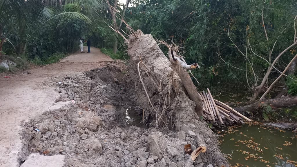 সিত্রাংয়ে হাজীগঞ্জের ১২ ইউনিয়নে ব্যাপক ক্ষতি