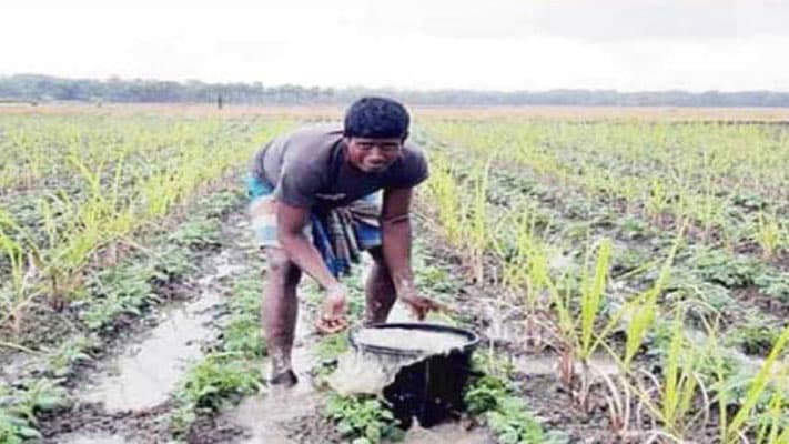 বৃষ্টিতে কৃষকের কান্না