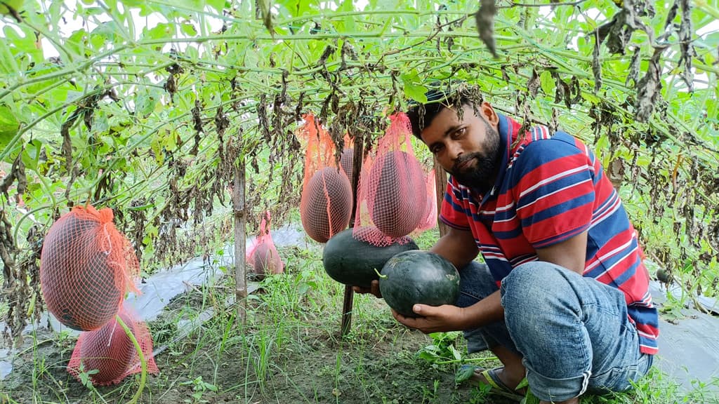 ব্যাংকার থেকে একজন  সফল কৃষক মিজানুর