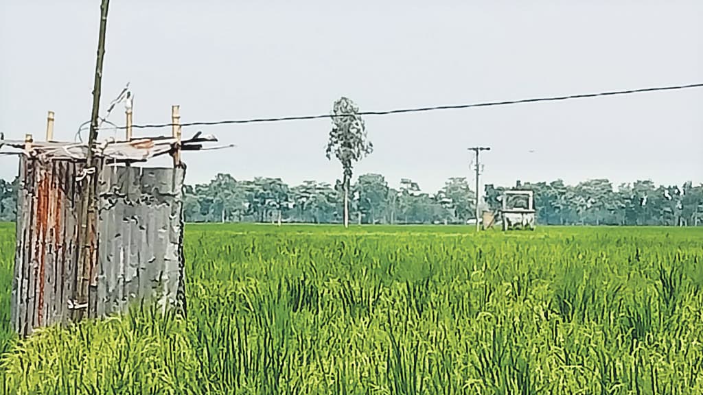 বরেন্দ্রভূমিতে ৪ কোটি টাকা ঘুষে ৩৫ নলকূপের ছাড়পত্র