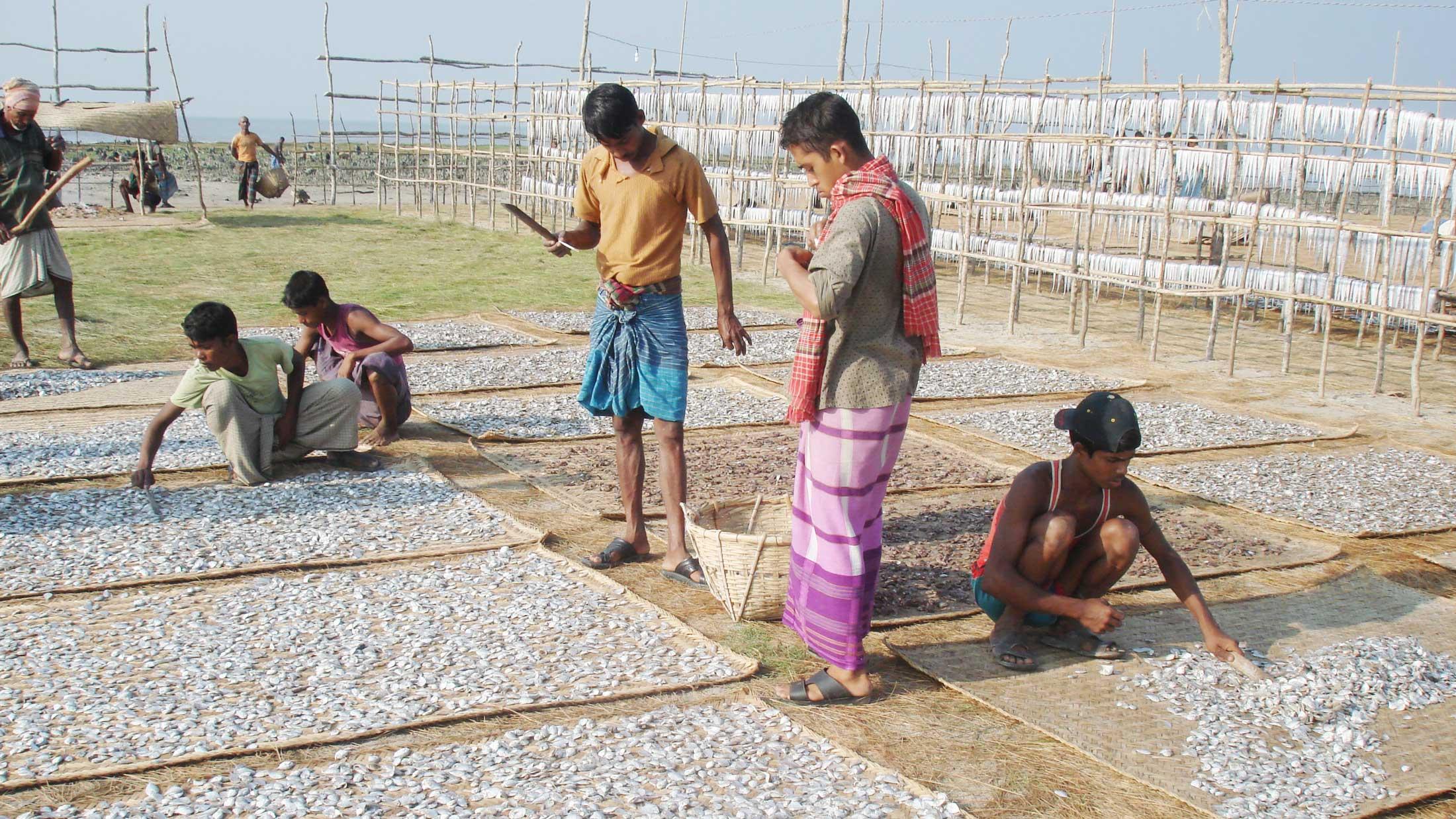 শুঁটকিতে আসছে বিপুল রাজস্ব