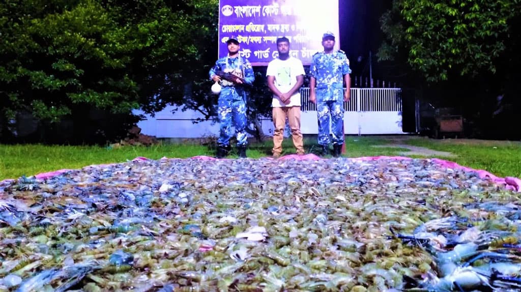 চাঁদপুরে  ১৫০০ কেজি জেলিযুক্ত চিংড়ি জব্দ