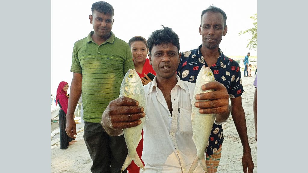 তিস্তায় ধরা পড়ছে ইলিশ, জেলেরা খুশি