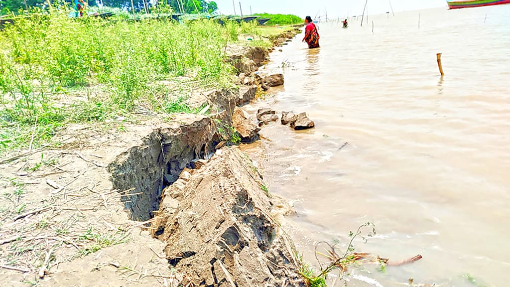 বর্ষার আগেই পদ্মার তীব্র ভাঙন