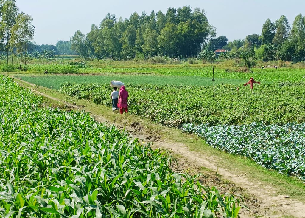 দিনের ছবি (২৮ নভেম্বর, ২০২৩)