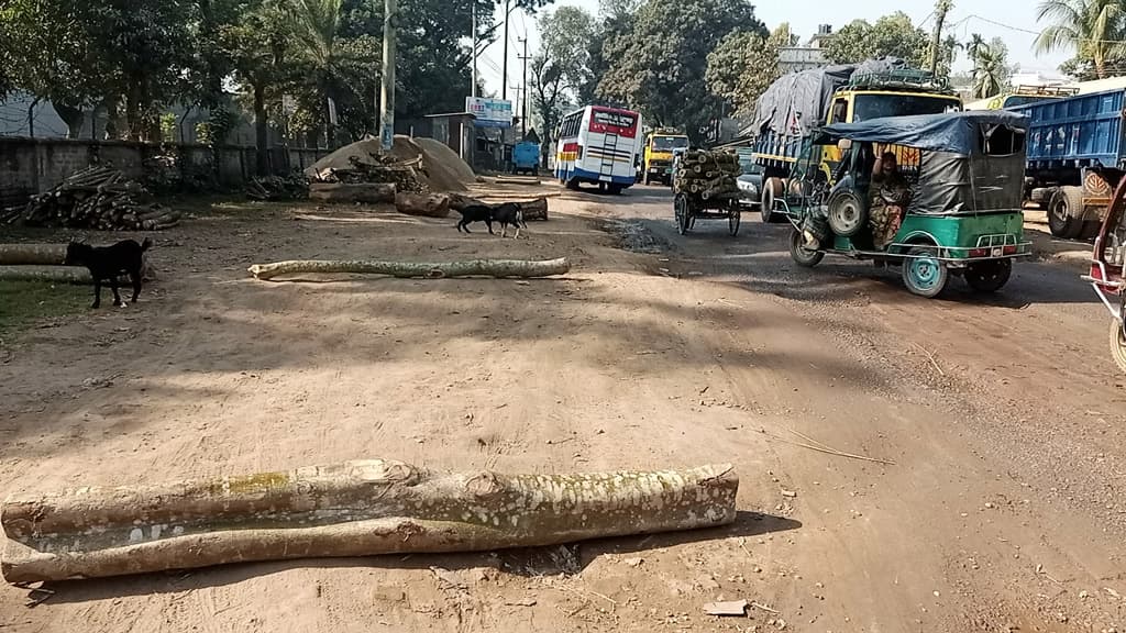 সড়কে খানাখন্দ, চলা দায়