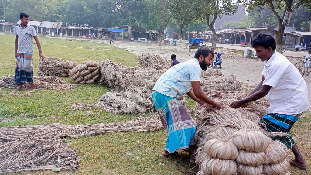 পাটের ভালো ফলন দামে বেজার চাষি