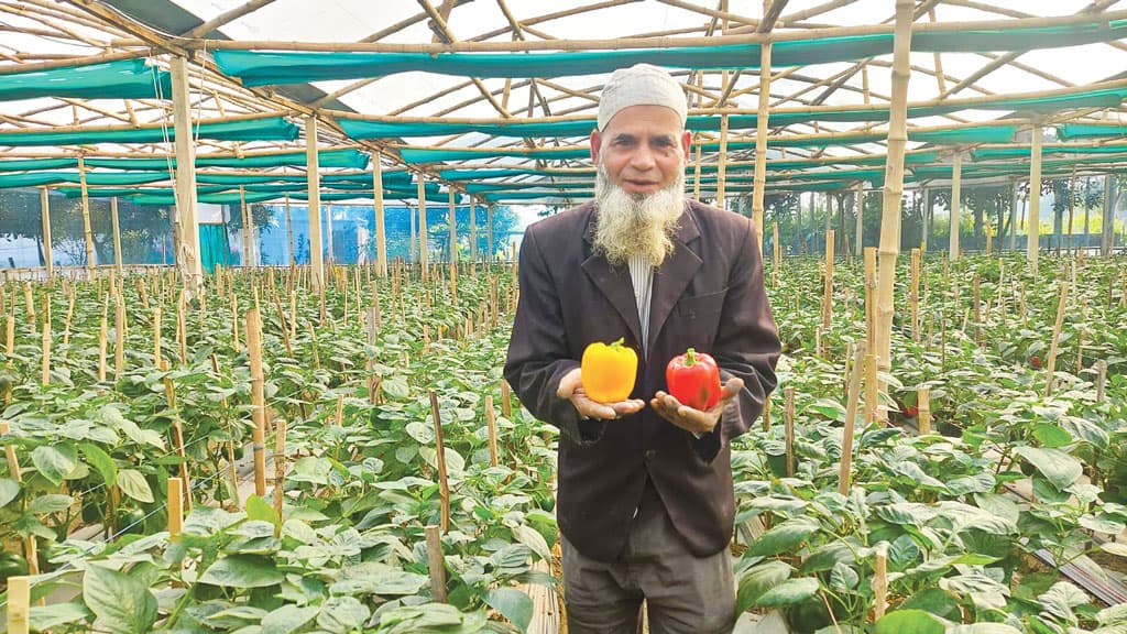 অবসরে এসে কৃষিতে সফল আজহারুল