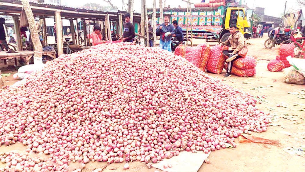 পেঁয়াজ চাষের খরচও ওঠেনি