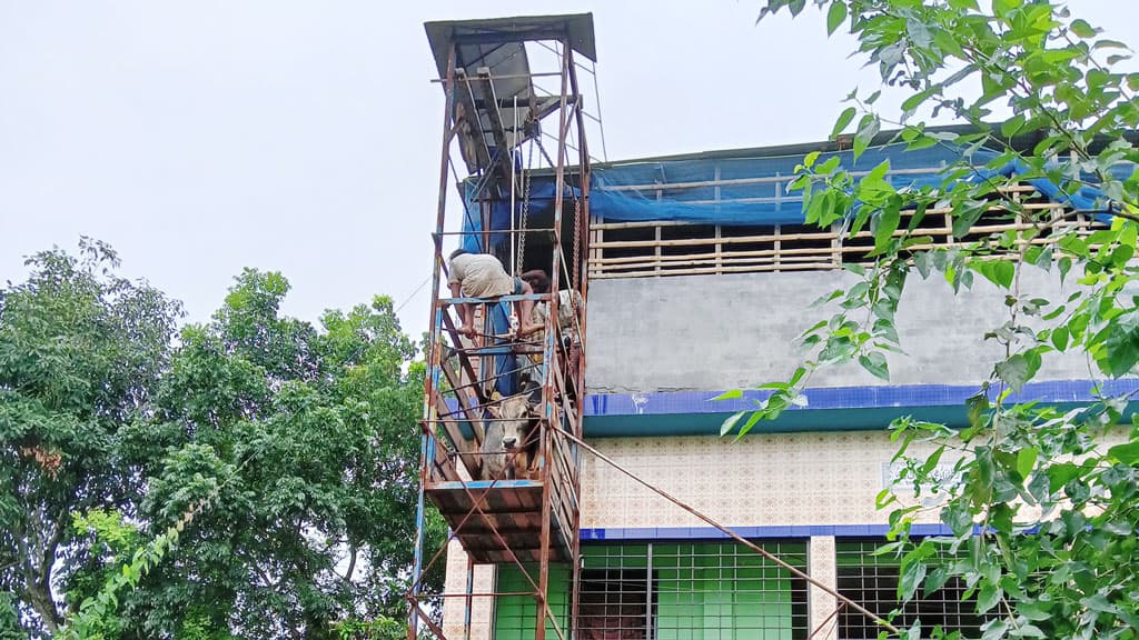 লিফটে নেমে গরু গেল কোরবানির হাটে