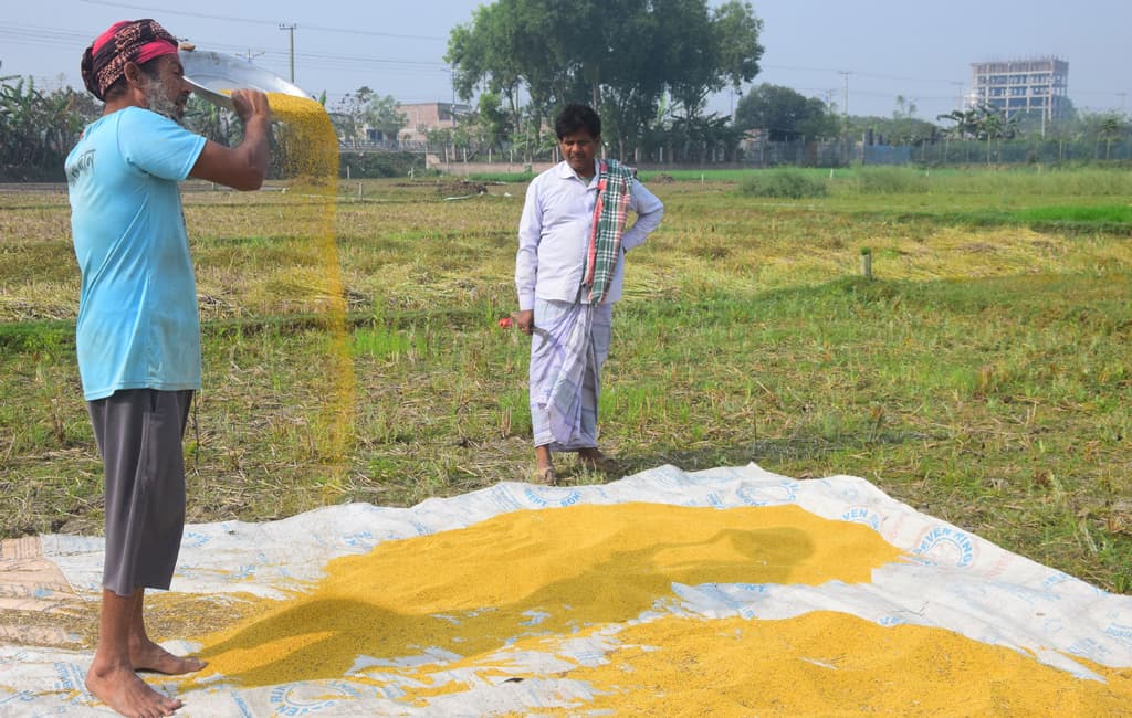 দিনের ছবি (২৮ ফেব্রুয়ারি, ২০২৪)