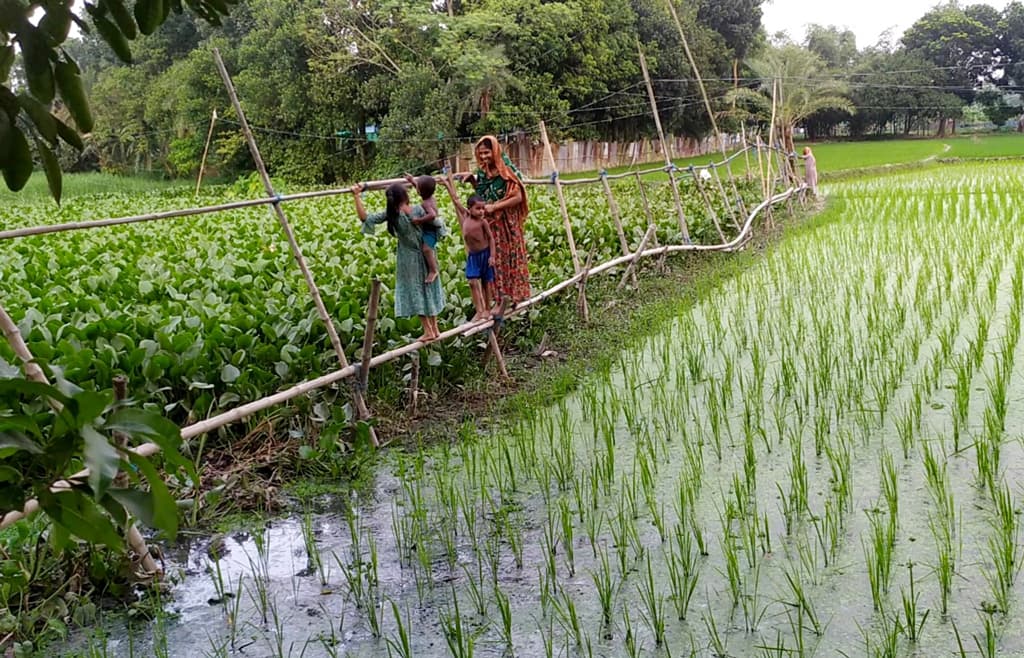 ফিশারিজে দুর্ভোগ, সাঁকোয় পার