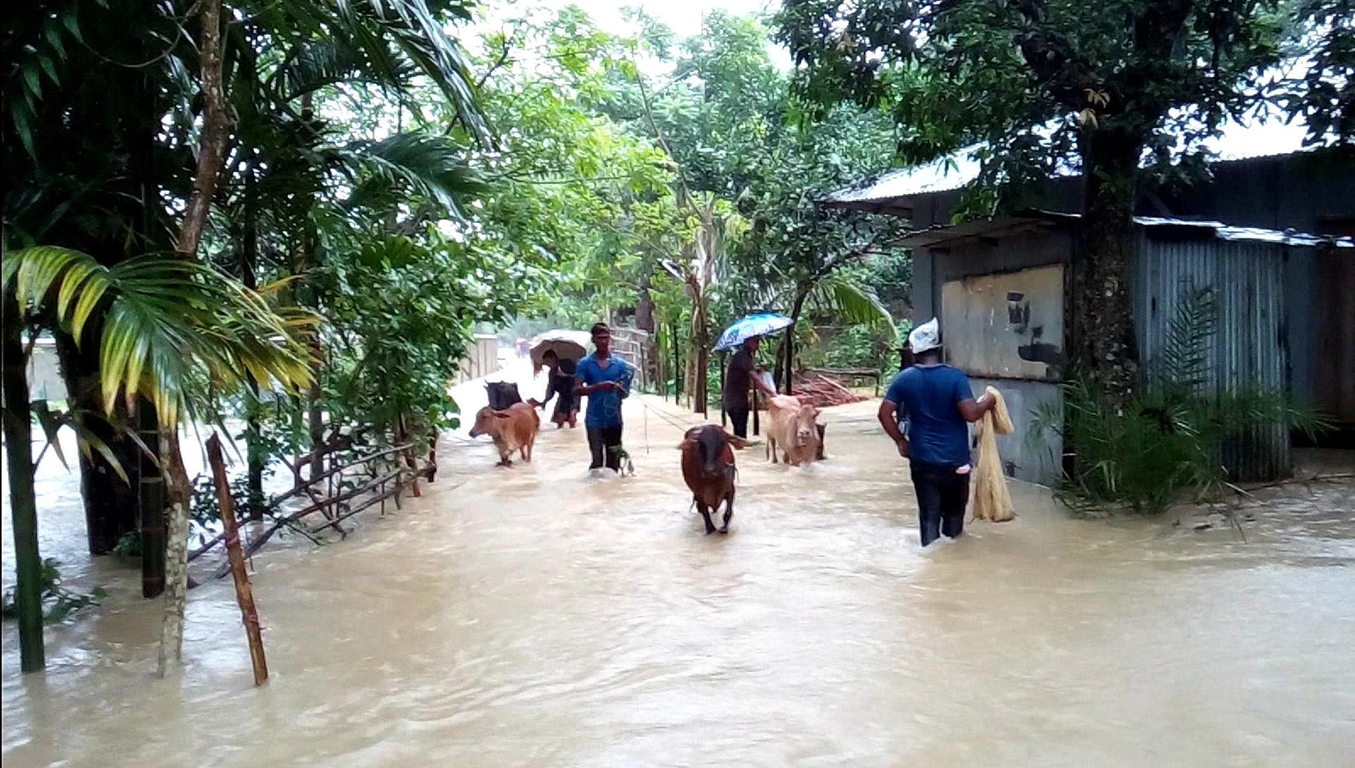 টানা বর্ষণ ও পাহাড়ি ঢলে বাঘাইছড়ির নিম্নাঞ্চল প্লাবিত