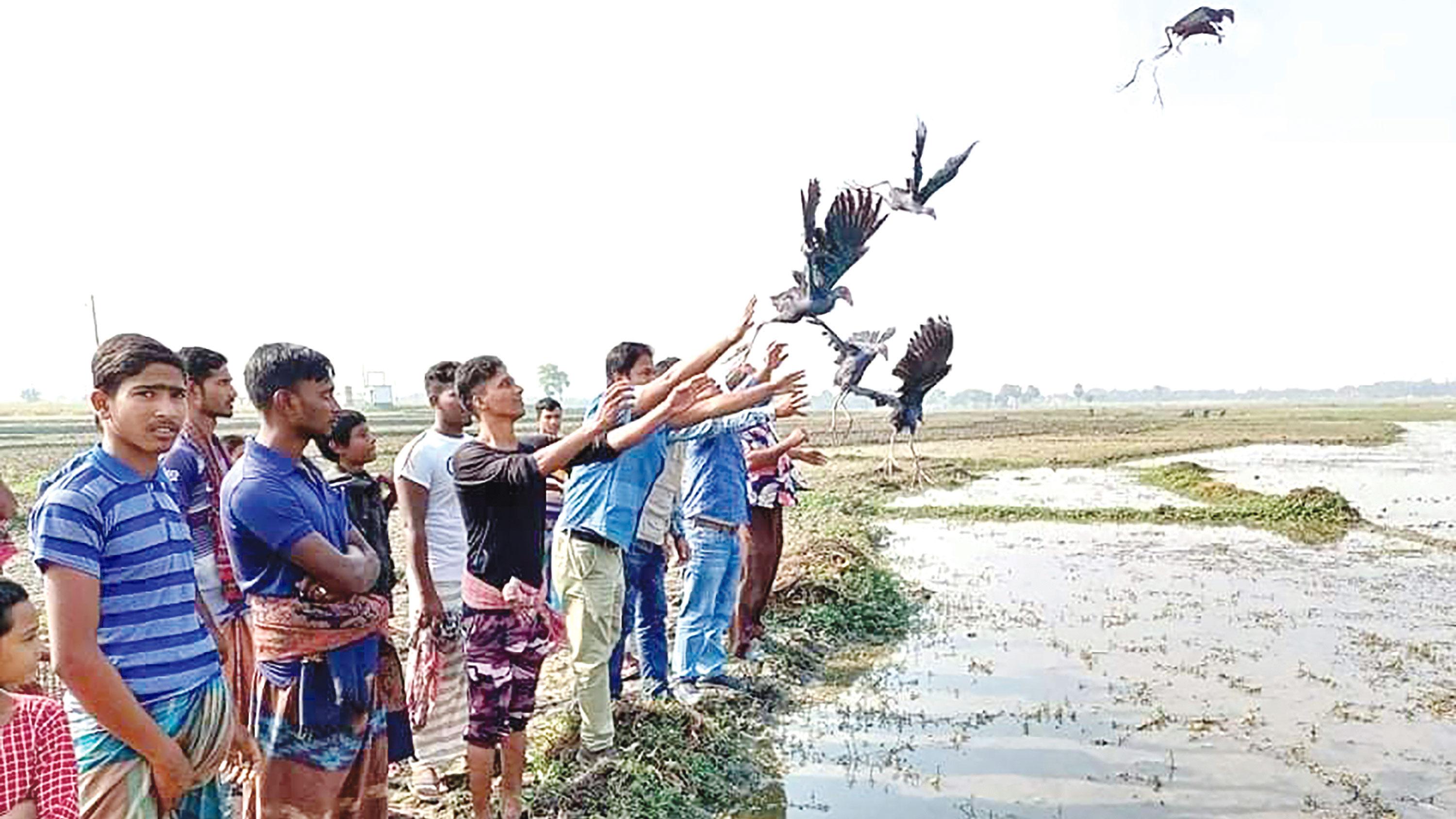 ৩১৪টি বন্দী পাখি ডানা মেলল আকাশে