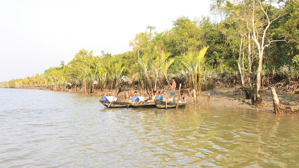 জলবায়ু পরিবর্তনে কতটা বিপদে বাংলাদেশ