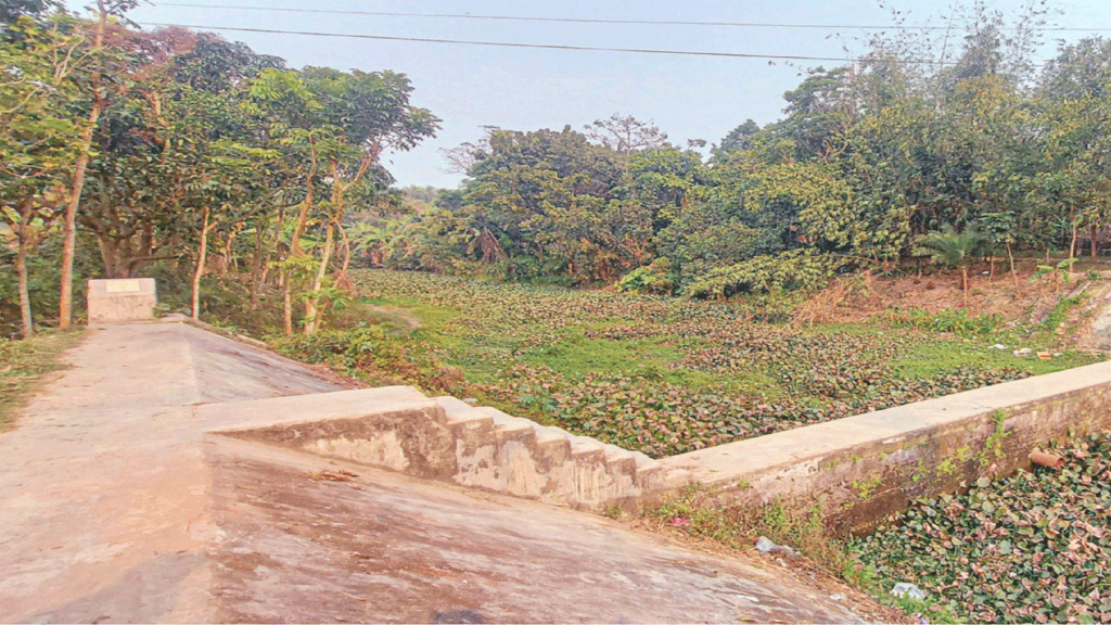 ক্রসড্যামের সুফল পাচ্ছেন না কৃষক