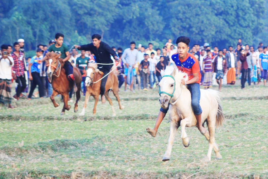 দিনের ছবি (২৯ ডিসেম্বর, ২০২৩) 