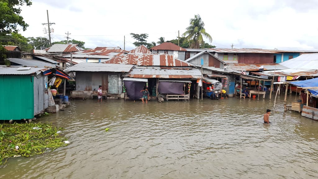 লক্ষ্মীপুরে মেঘনার ভাঙনে ৩০টি গ্রাম প্লাবিত, ফেরি চলাচল ব্যাহত 