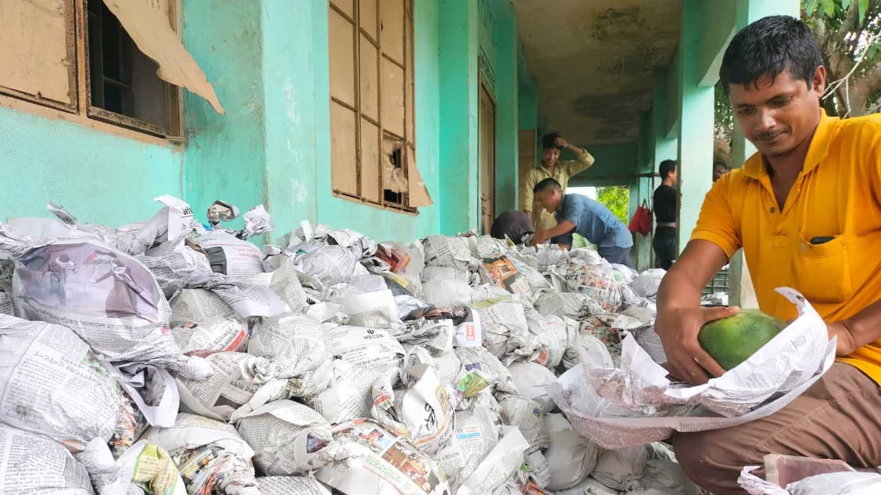 পেঁপের বাম্পার ফলন