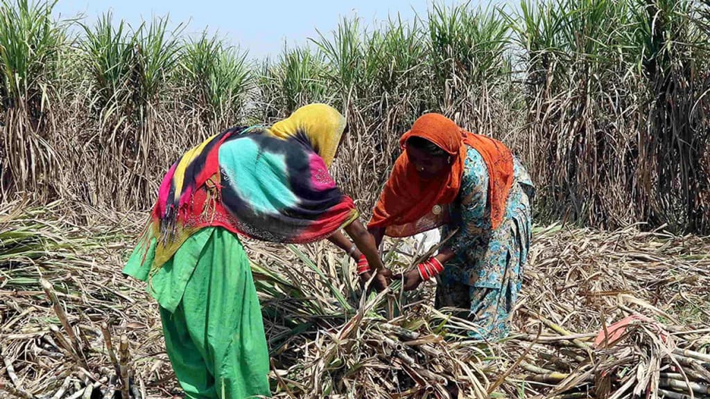 ভারতের চাল রপ্তানি বন্ধের পর চিনি নিয়েও উদ্বেগ শুরু হয়েছে