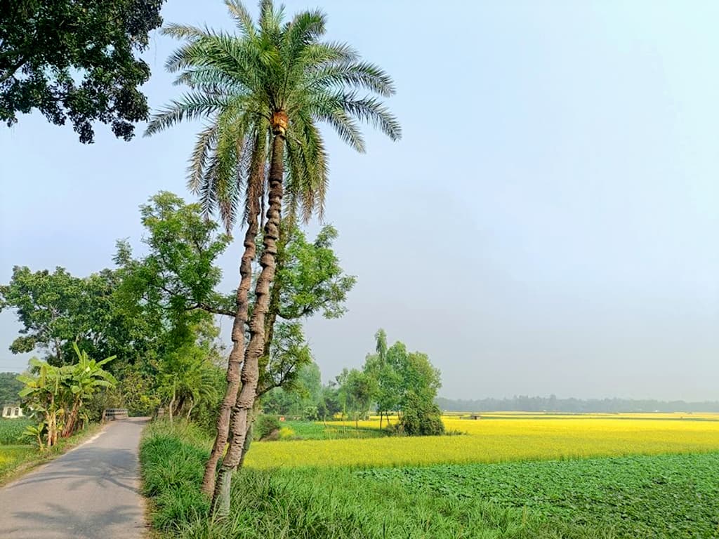 দিনের ছবি (২৮ ডিসেম্বর, ২০২৩)