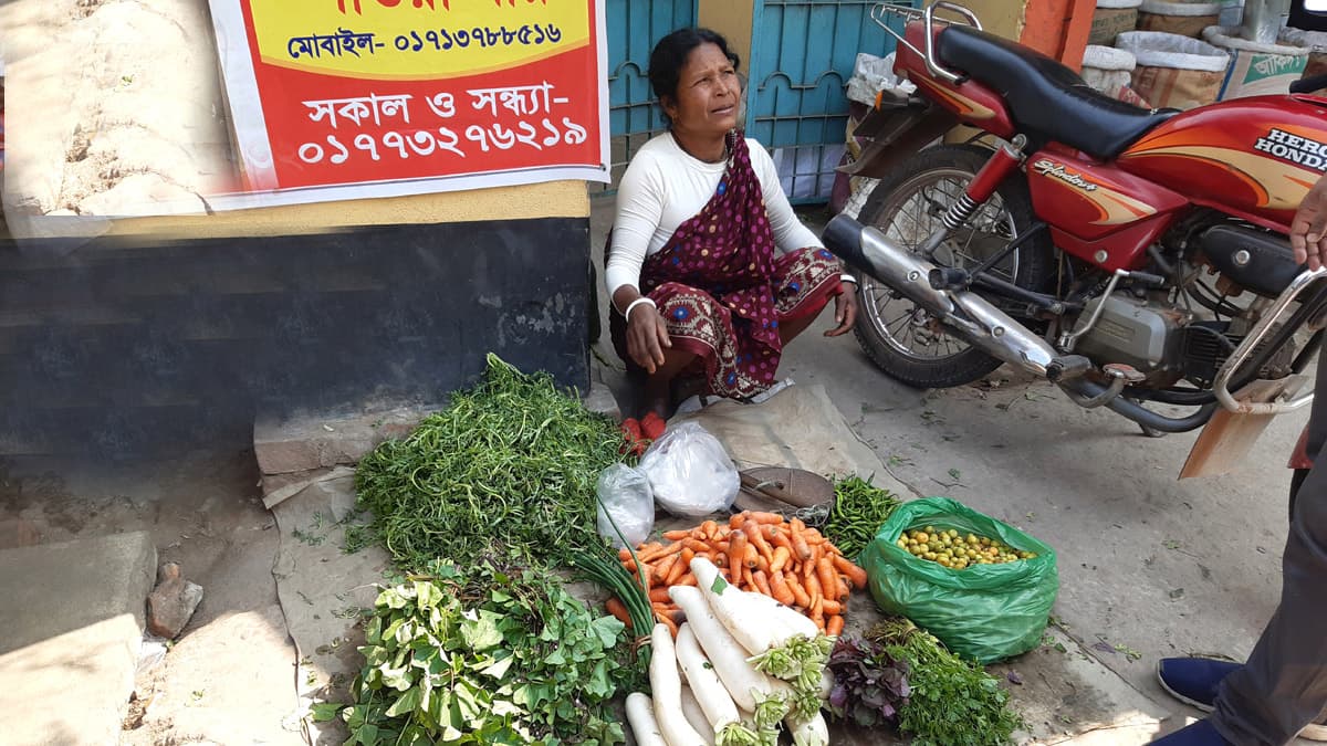 সবজিতে ঘুরে দাঁড়ান বিন্দাশরী