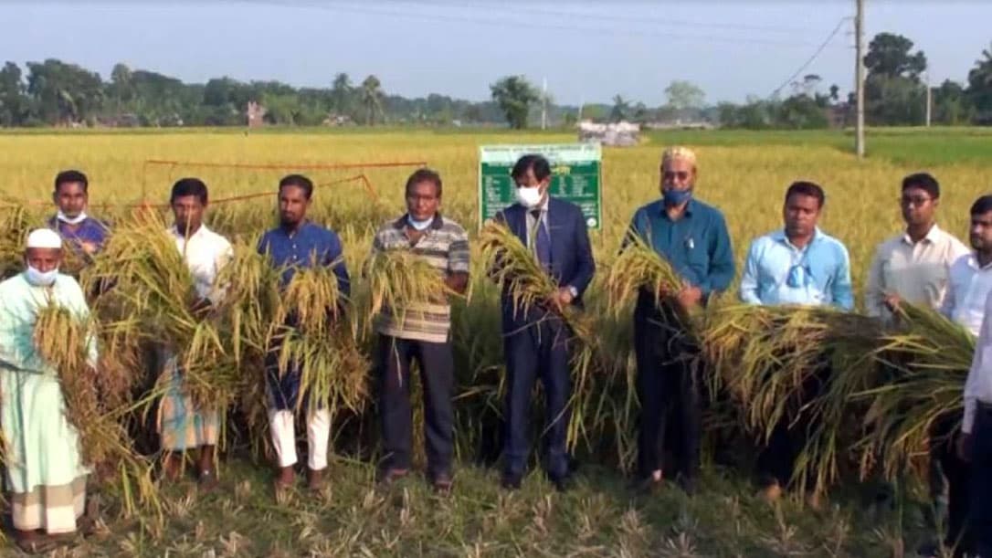 আগাম সবজি চাষে ব্যস্ত চাষিরা