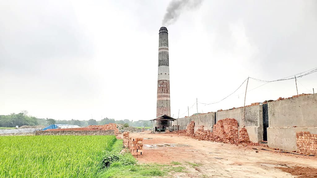 কুষ্টিয়ায় ইটভাটায় দগ্ধ শ্রমিকের মৃত্যু, ৩ লাখ টাকায় আপসরফা