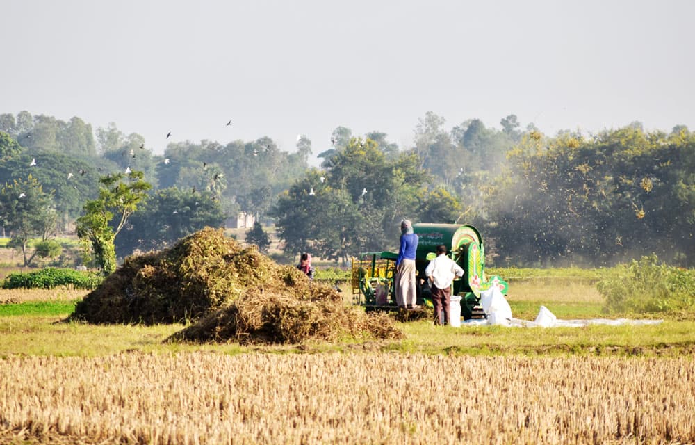 দিনের ছবি (০৮ ডিসেম্বর, ২০২৩)