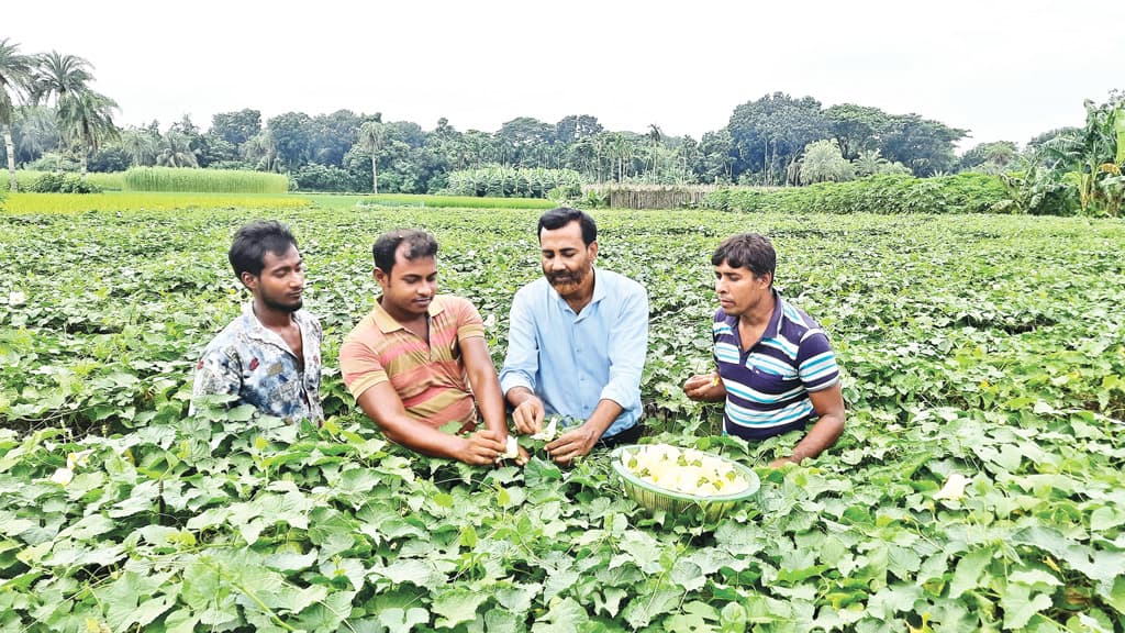 কৃষকবন্ধু আইয়ুব ভাই