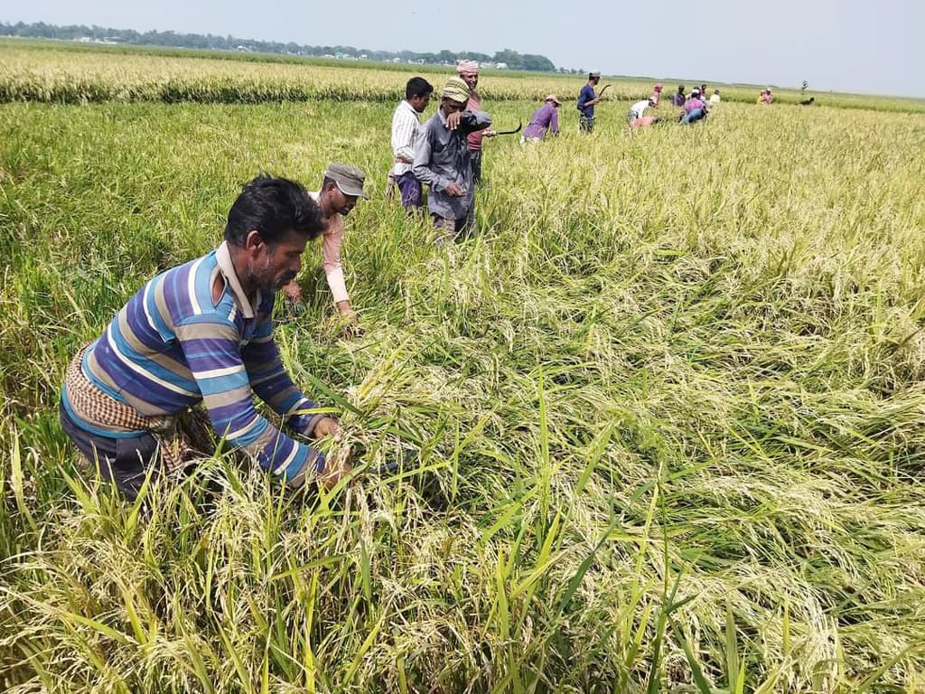 দিনের ছবি (১৯ এপ্রিল, ২০২৩)