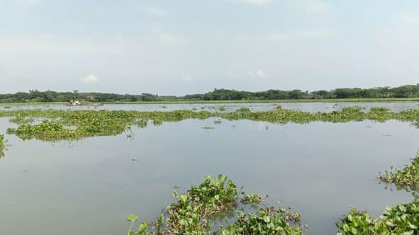 মধুমতীর পানি সহনীয় মাত্রার তিনগুণের বেশি লবণাক্ত