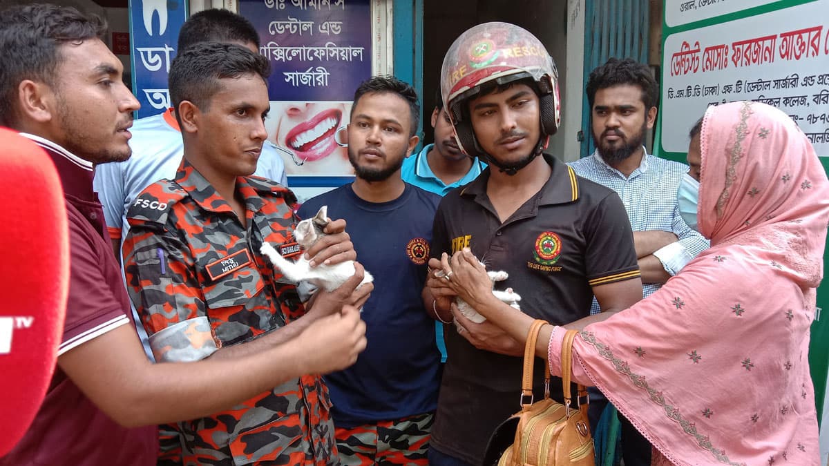 বিড়ালছানা উদ্ধারে ফায়ার সার্ভিস