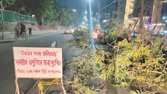 গাছ কেটে কেমন সৌন্দর্যবর্ধন ডিএসসিসির