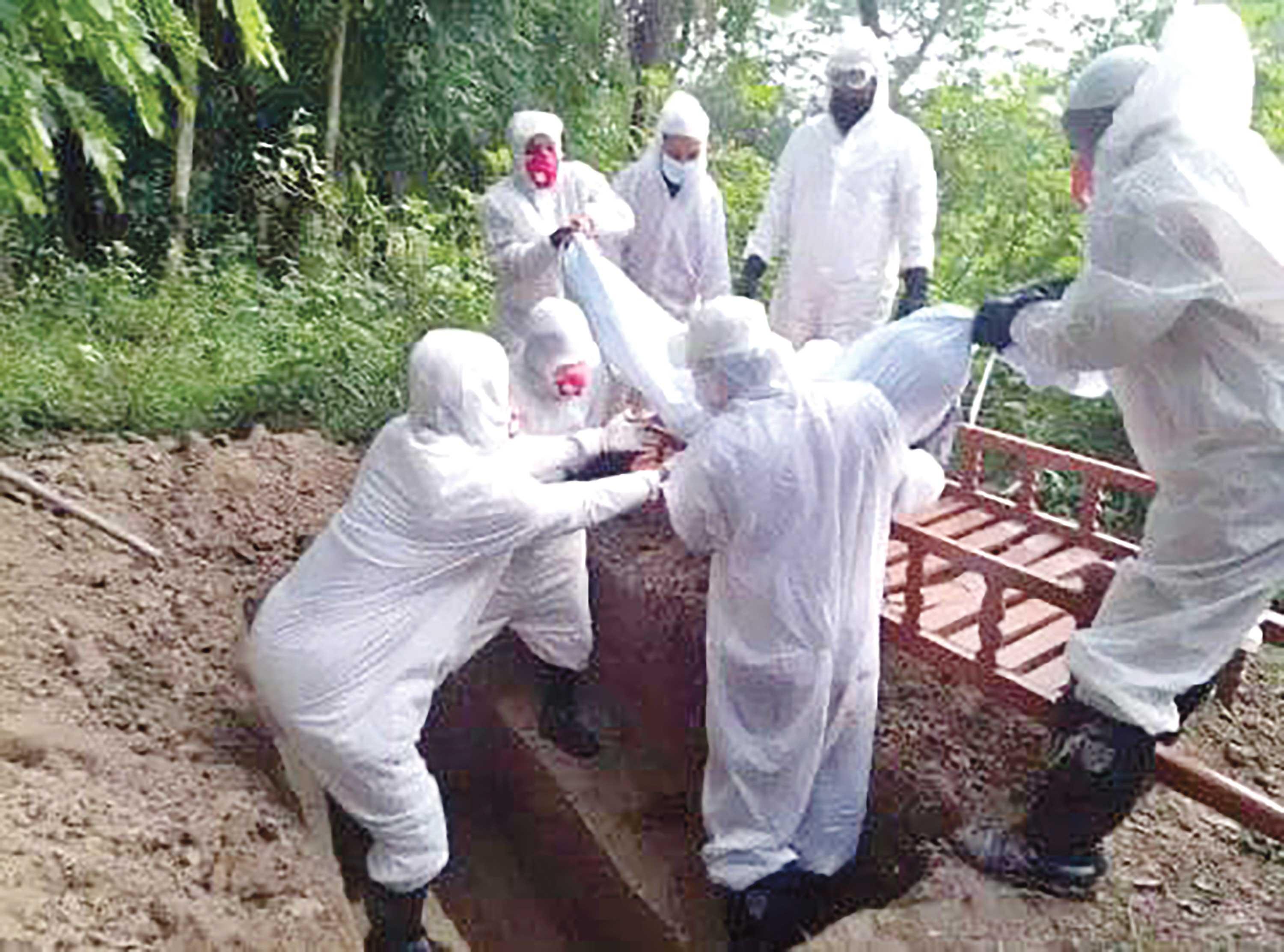 শেষ বিদায়ের বন্ধু তাঁরা