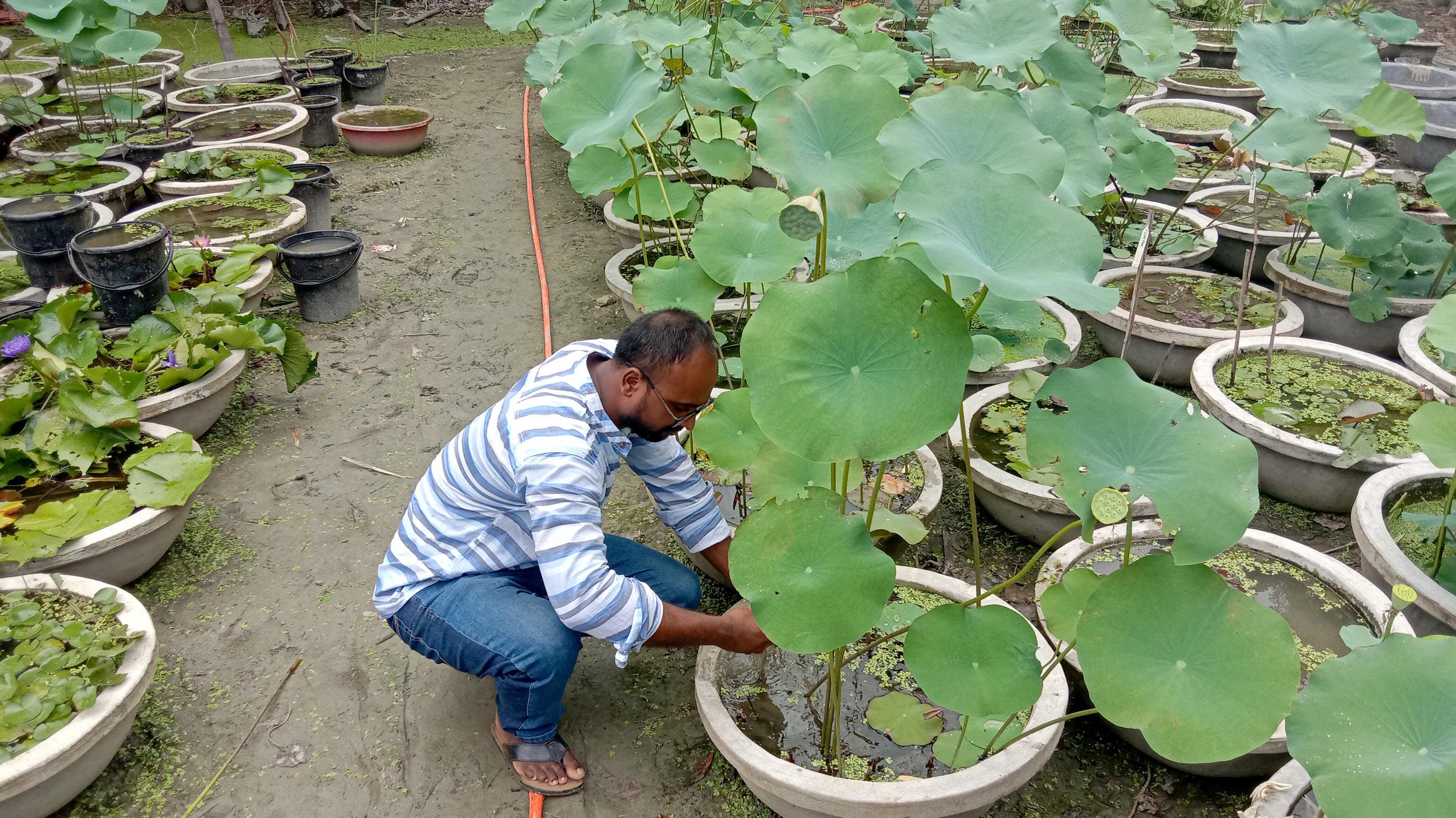 রঙিন ফুলে জীবন রঙিন