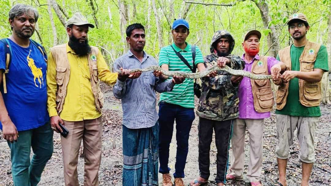 পাথরঘাটায় ৯ ফুট লম্বা অজগর উদ্ধার, ইকোপার্কে অবমুক্ত